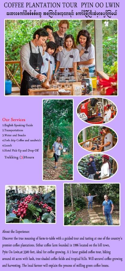 Royal Flower Guest House Pyin Oo Lwin Exterior photo
